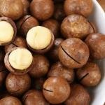 Macadamia Nuts