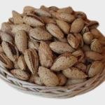 Uzbekistan Almond
