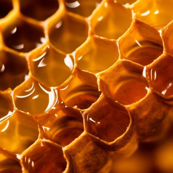 sidr honey dubai price