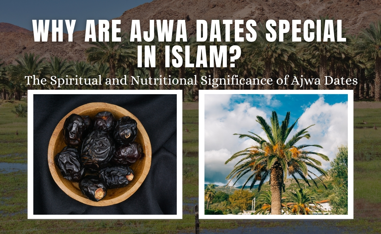 Why Are Ajwa Dates Special in Islam?