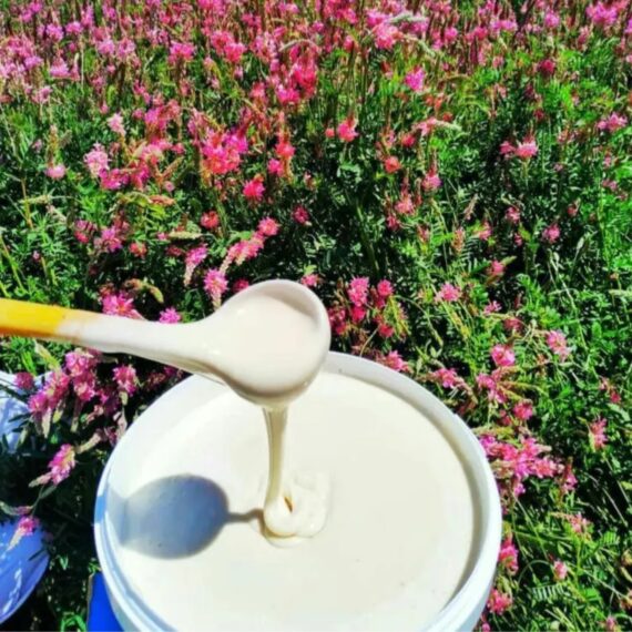 kyrgyzstan honey