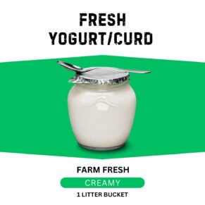 Fresh Yogurt Curd in Dubai